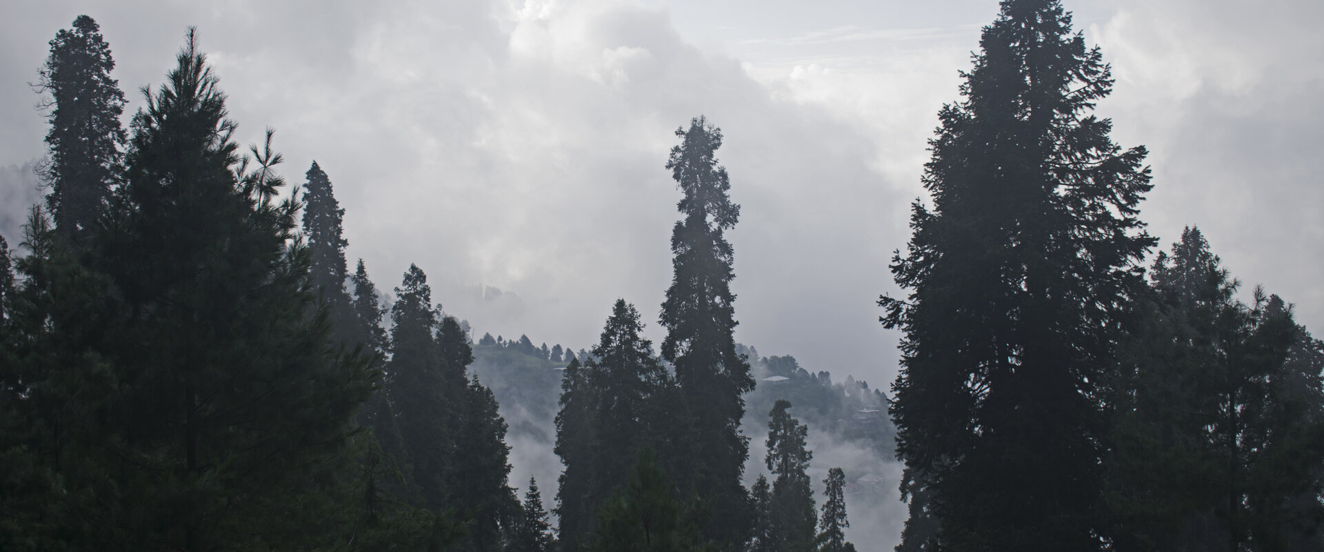 Murree & Nathia Gali Escape destination view